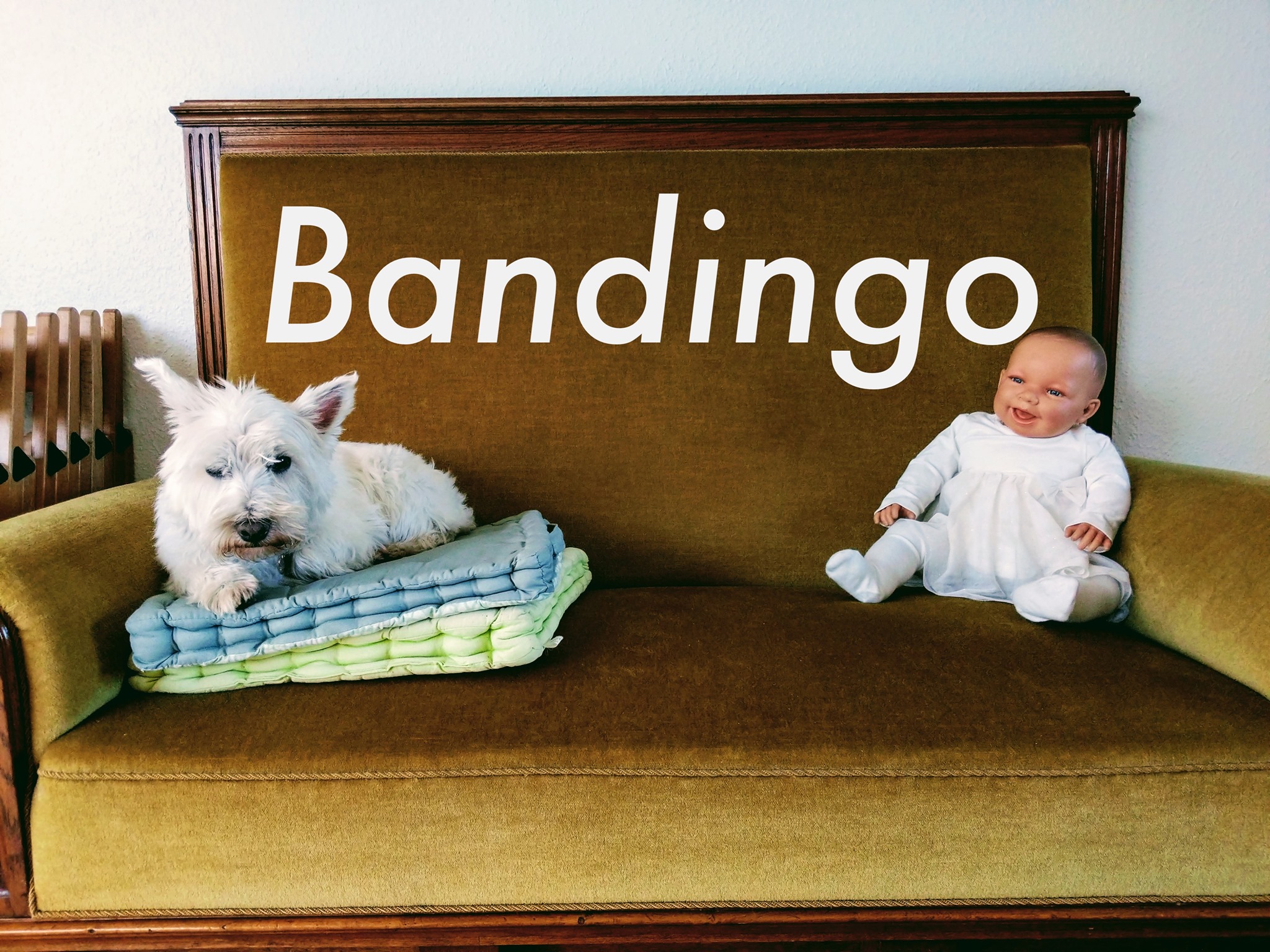 Fredagsjam: Bandingo