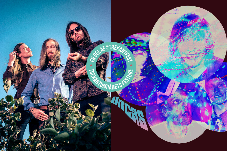 The Sonic Dawn & Orcas