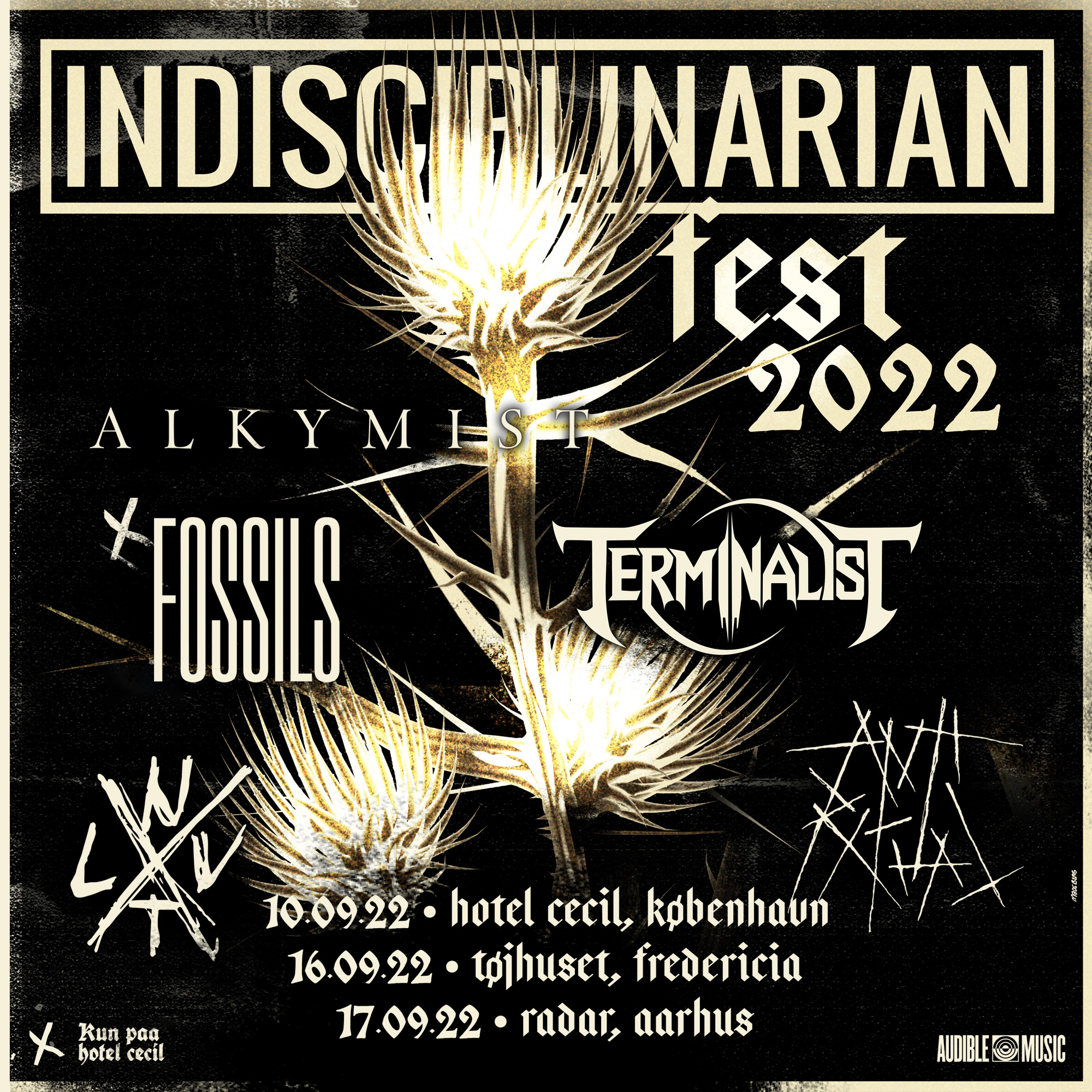 Indisciplinarian Fest