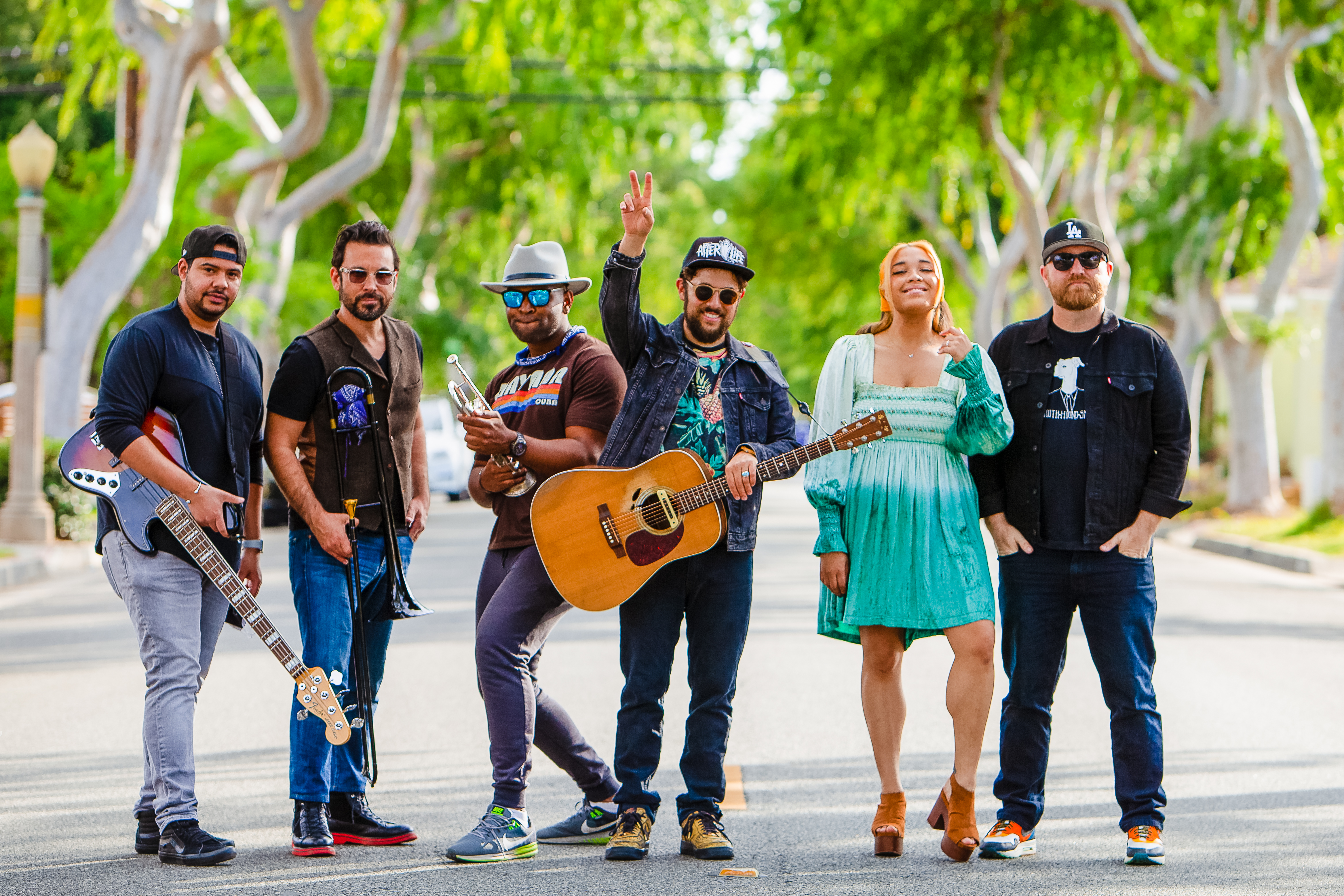 Dustbowl Revival (US)