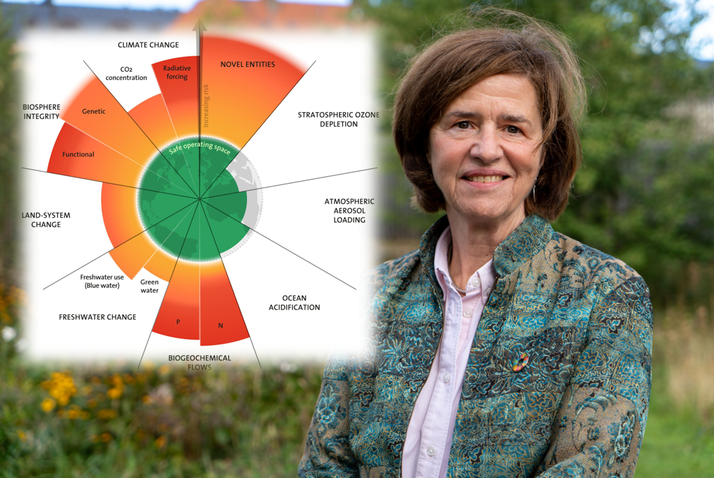 Klima, biodiversitet og bæredygtighed