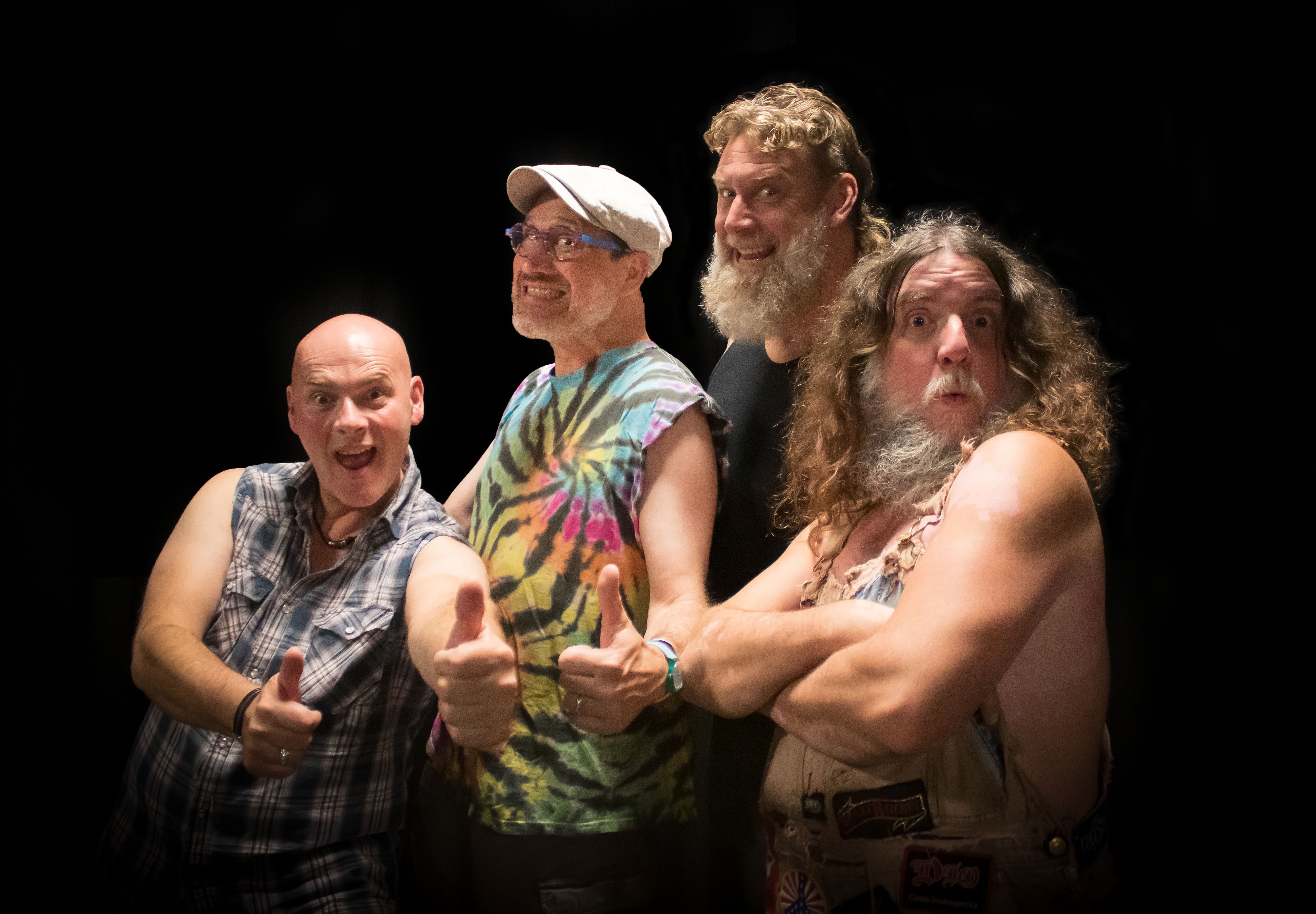 Hayseed Dixie (US)